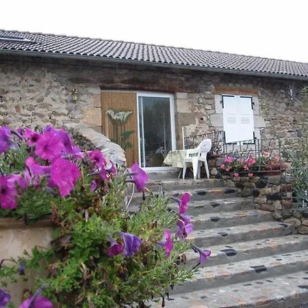 Familial Au Coeur Des Gorges De La Loire Avec Equipements Bebe Et Loisirs Exterieurs - Fr-1-582-238 Holiday home
