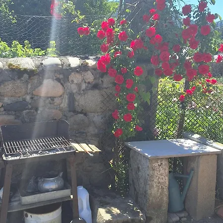 Familial Au Coeur Des Gorges De La Loire Avec Equipements Bebe Et Loisirs Exterieurs - Fr-1-582-238