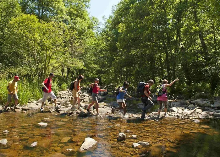 Familial Au Coeur Des Gorges De La Loire Avec Equipements Bebe Et Loisirs Exterieurs - Fr-1-582-238 Holiday home *